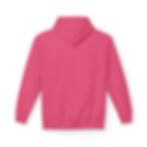 Thumbnail: HEALTH IS WEALTH, hoodie