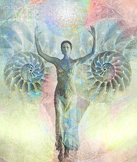 dreamstime_xxl_8978794.jpeg