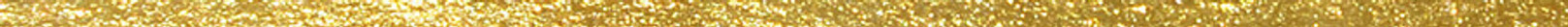 gold strip.jpg