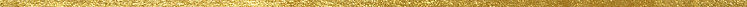 gold strip.jpg