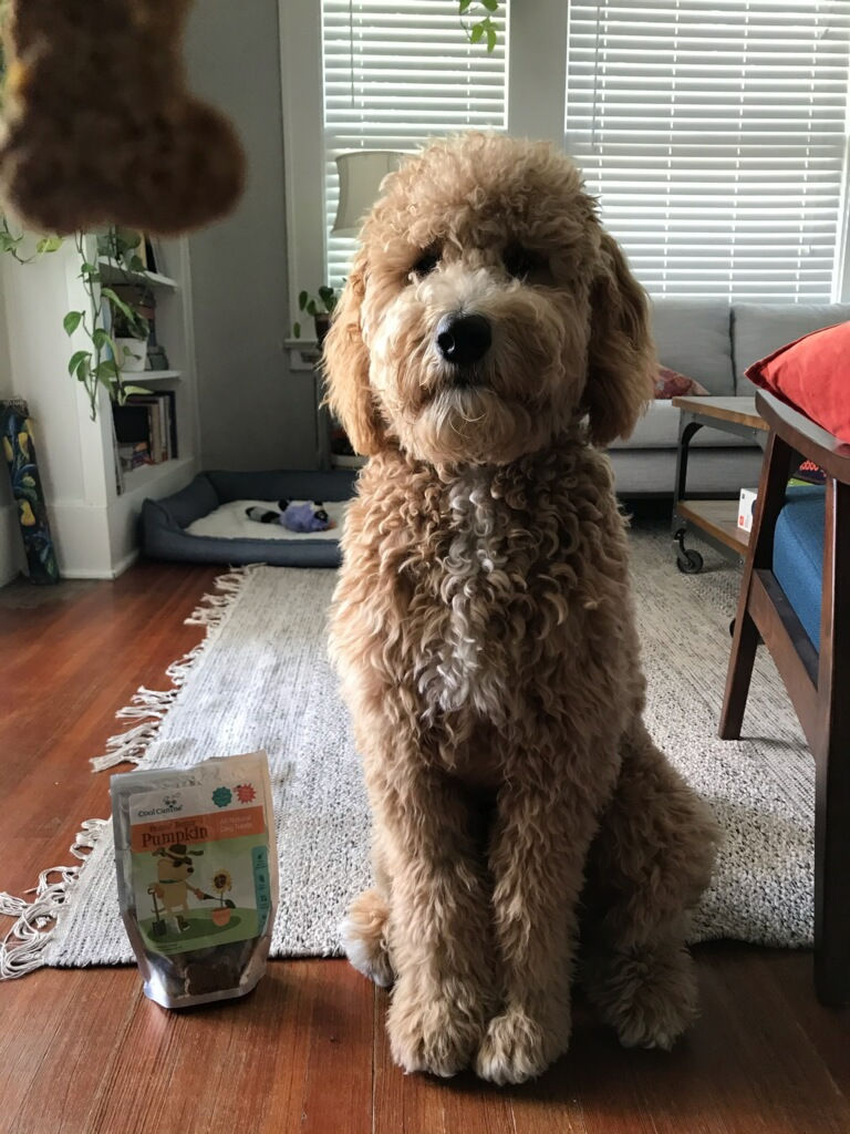 Wally