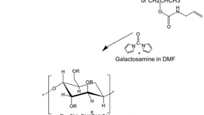 Galactosylated cellulosic sponge for multi-well drug safety testing