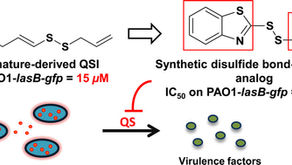 Disulfide Bond-Containing Ajoene Analogues As 