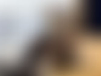 Crowd Enjoys Classical Fran Randall Concert