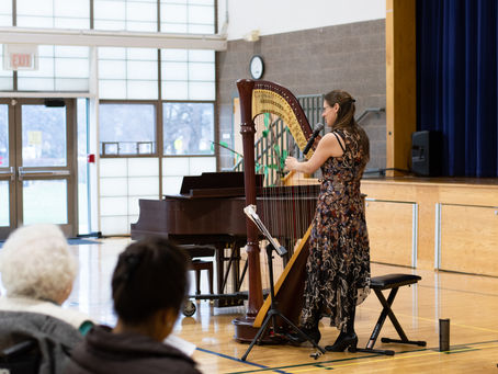 Crowd Enjoys Classical Fran Randall Concert