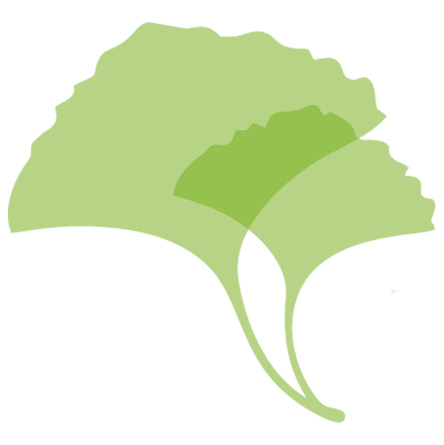 Gingko Leaf Logo | Levy Senior Center Foundation