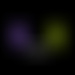 We.Rich, a User-Generated Assets platform, raise $2m in Seed led by Foluis Ventures and Animoca Brands