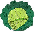 CabbageLogo3.1.png