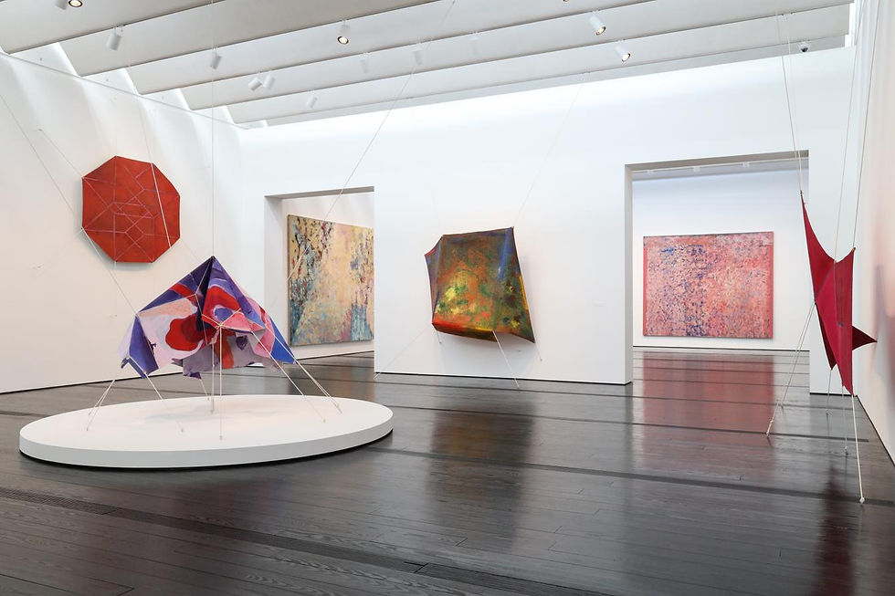 Sarah Hobson, photographer. Installation view of Joe Overstreet's "flight patterns," featuring Untitled (1970), at The Menil Collection. Houston, TX. Photo courtesy of The Menil Collection webpage.