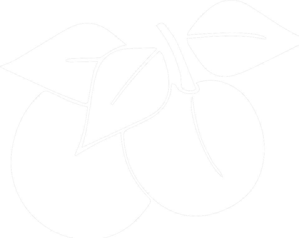 Mirabelle_Frucht_Vektor_edited.png