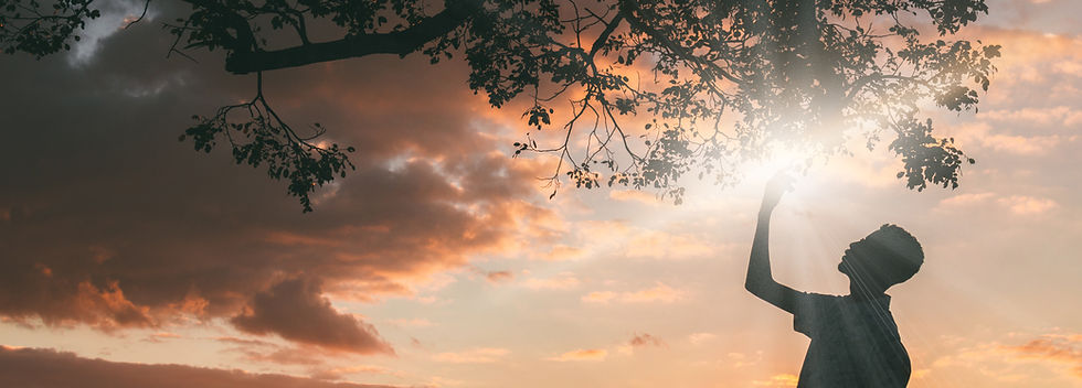 Sunset Clouds and Tree_edited.jpg