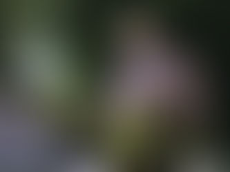 Legends & Lore - Tyvar Kell