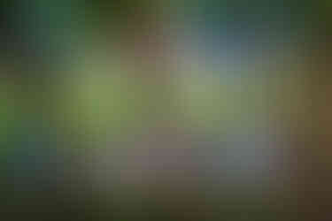 Home(-) and Garden, 2018, Install side view and Photo courtesy of Scott Lynch