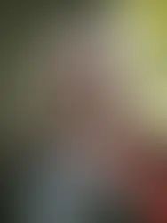 Inside the Studio: Jennie Smallenbroek