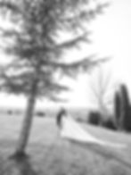 140_lasal.weddings__CAL4976_websize.jpg