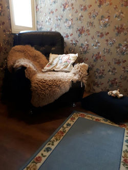Resized_20171012_150520[1]