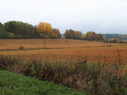 Resized_20171009_142747