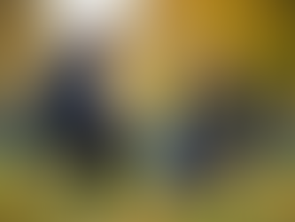 Empowering Individuals with Disabilities Through Mentoring