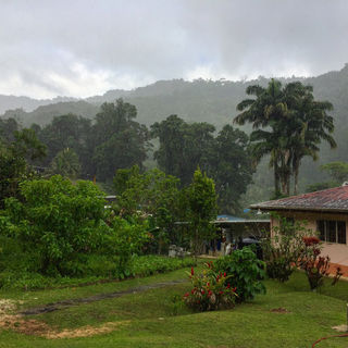 Pink stucco house surrounded by lush green vegetation, and rainy mountains in the distance.