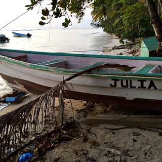White wooden boat with turquoise trim named "Julia" rests on the beach under a large dry palm frond.