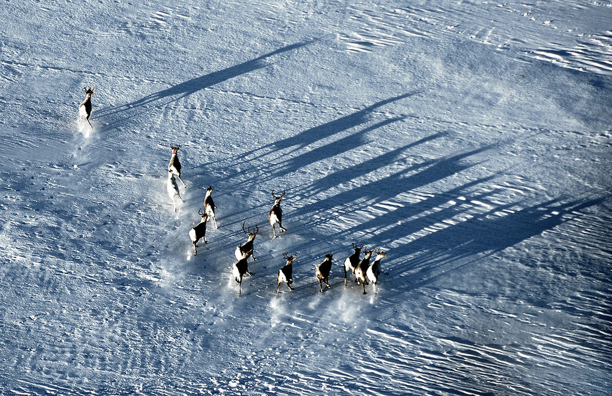 Rein Vinter