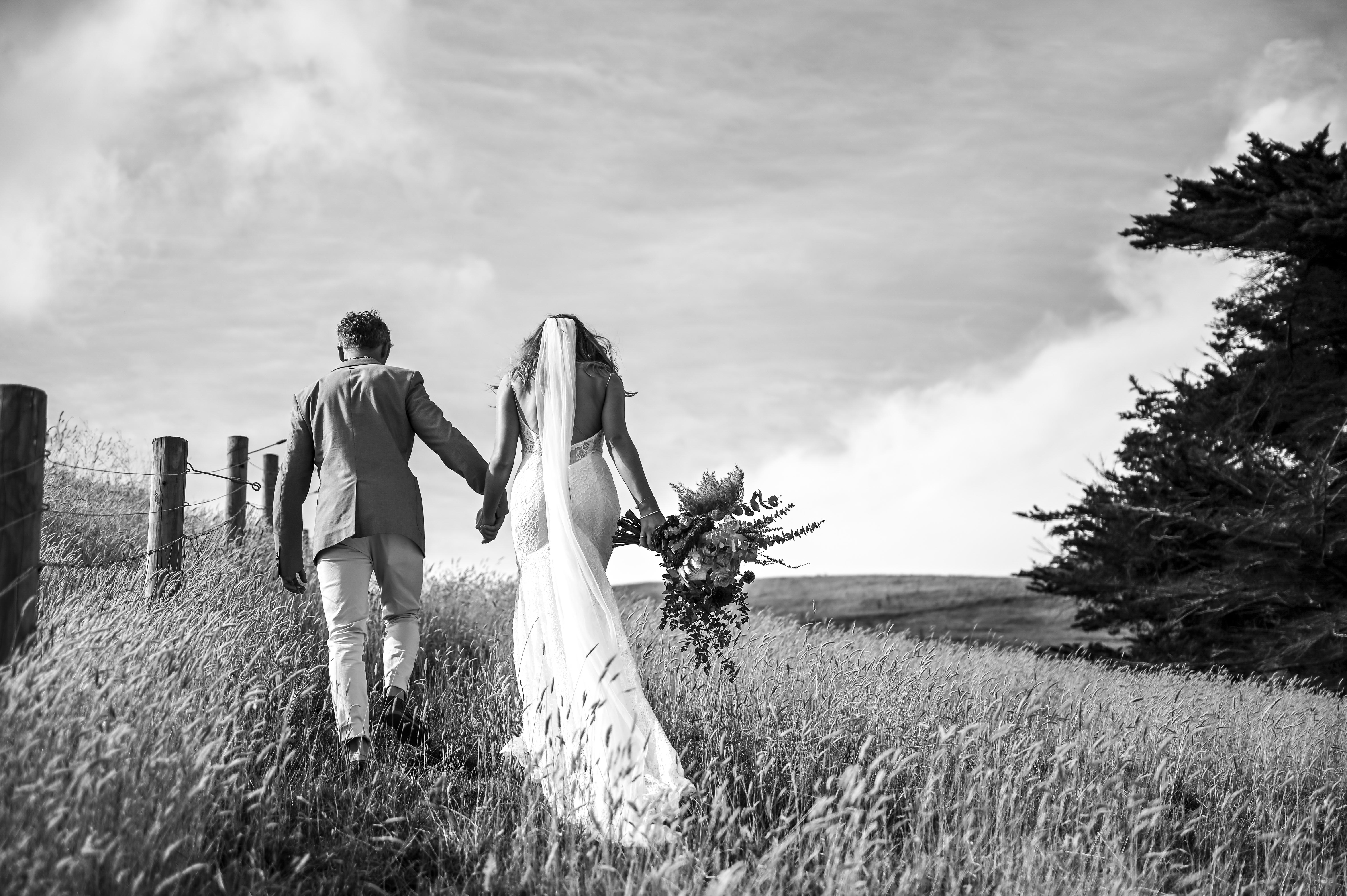 Alexander Shore Photography — photo 9 of 18
