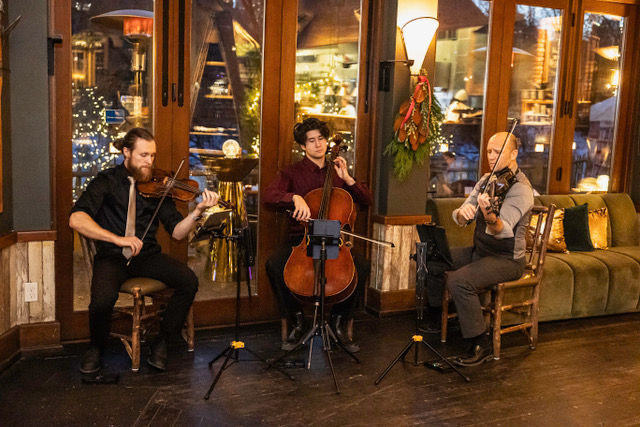 String Duo or Trio