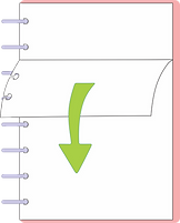 tirar a folha 01.png