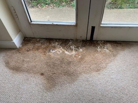 Restoring Comfort: A Comprehensive Guide to Repairing Water-Damaged Carpets and Preventing Future Issues