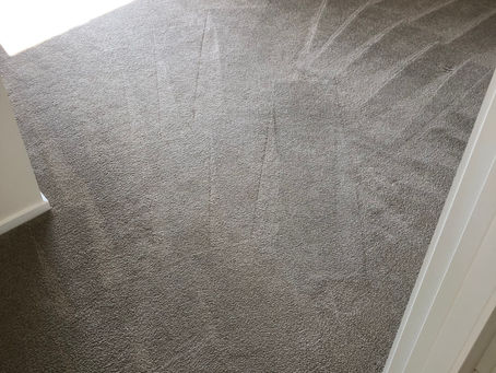 Choosing the Perfect Family-Friendly Carpet: A Guide to Easy Cleaning with Bellamy's Carpet Cleaning and Pest Control