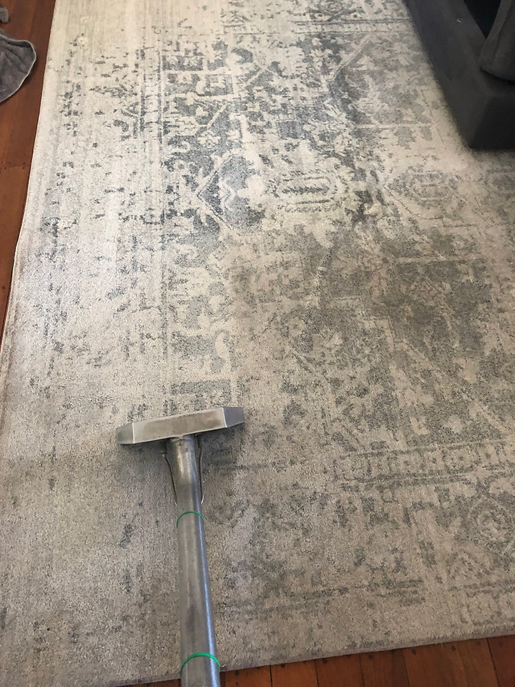 Rug Revival: The Best DIY Cleaning Tips for a Fresher Home!