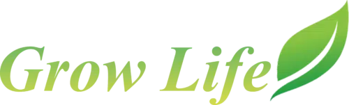 logo_novo-e1668387073702.png.webp