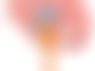 Tổng quan về tuyến yên