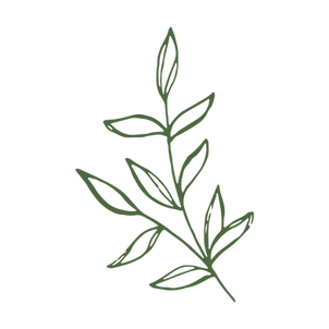 GRAPHIC ONLY GREEN.png