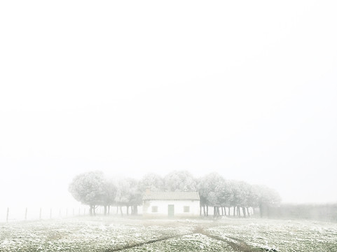 Snow Covered Field