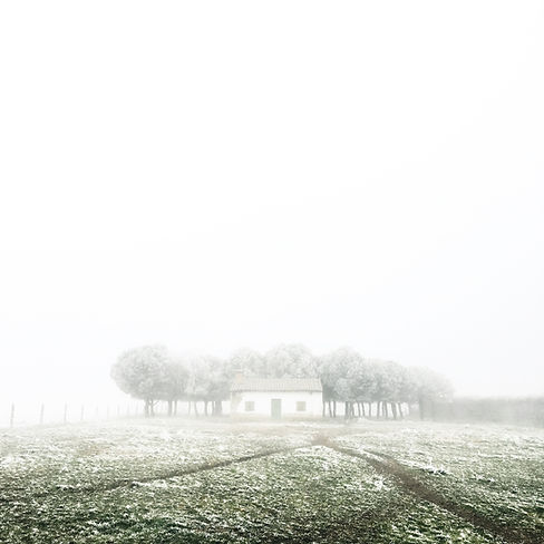 Nebelige Landschaft