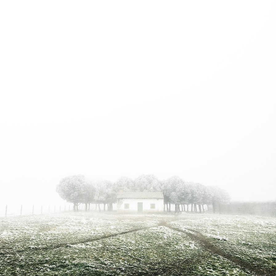 Snow Covered Field
