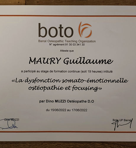 Formation BOTO Osteopathie