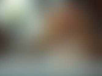 The Secret Life of a Bengal Kitten: Adventures You Never Knew About