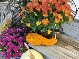 Autumn Equinox
