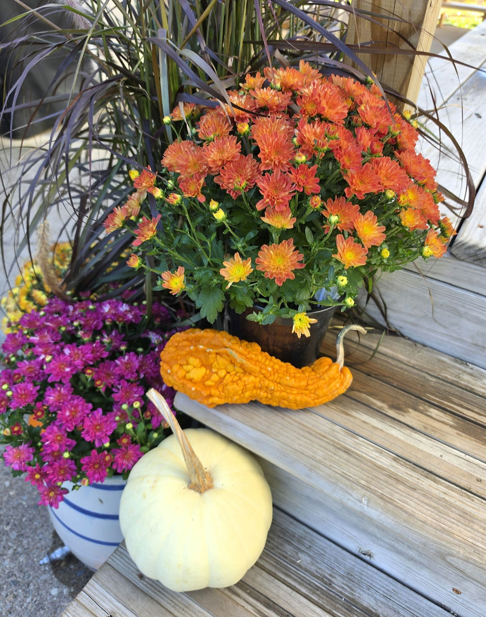 Autumn Equinox