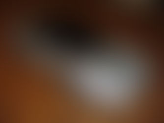 私の好きなモノ・クルマ編 4