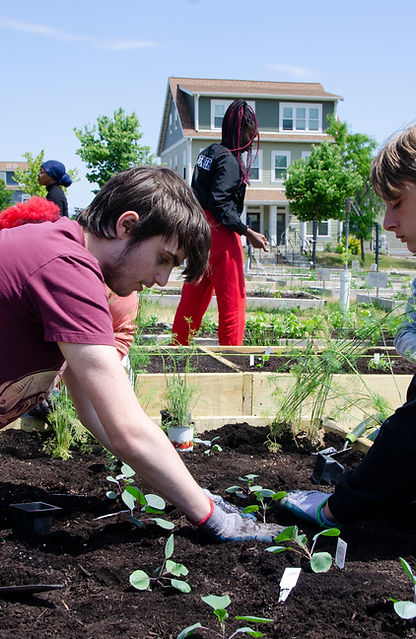 Teens Grow Greens