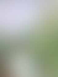 Green is the New Gold