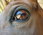 20201208_112003_edited.jpg