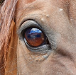 20201208_105155.jpg