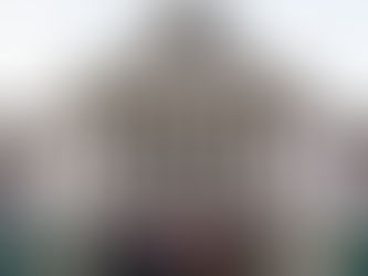 A Husky on the Hill!