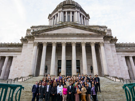 A Husky on the Hill!