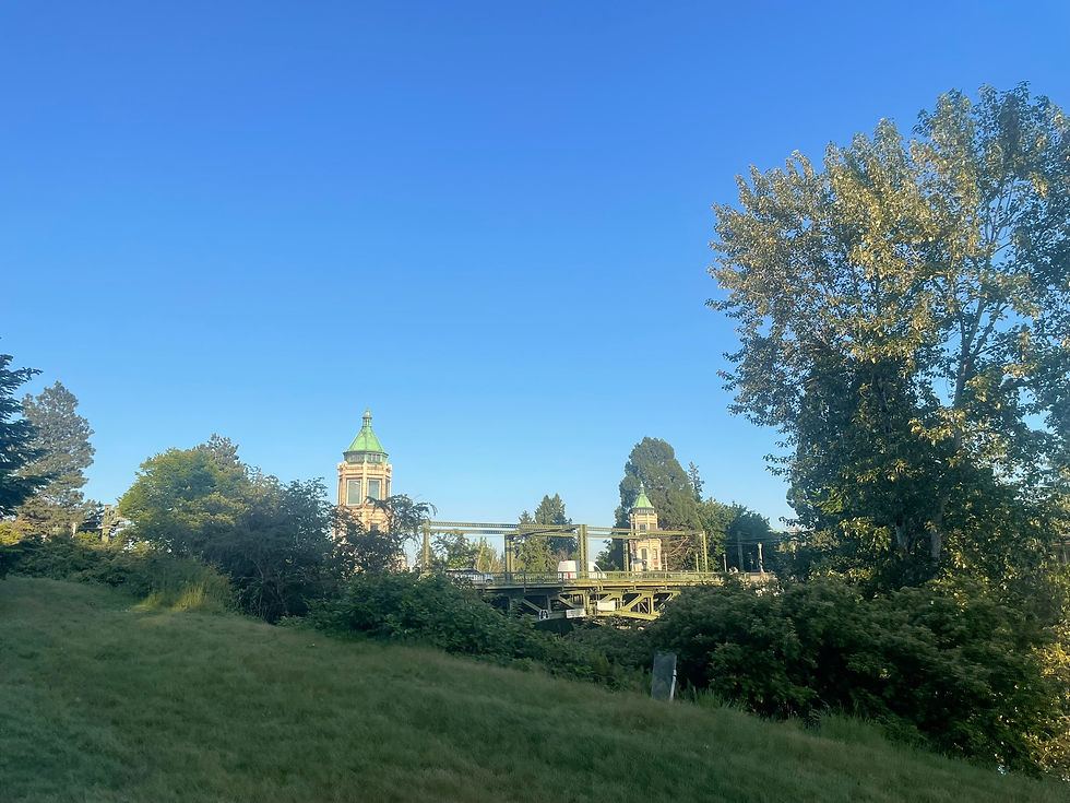The Montlake Bridge on a sunny day at the Cut