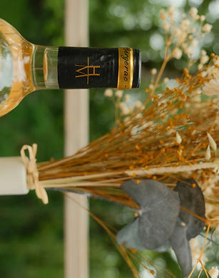 Domaine du Haut Montlong